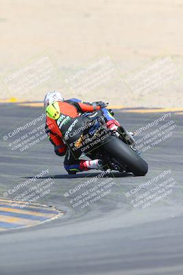 media/Mar-10-2024-SoCal Trackdays (Sun) [[6228d7c590]]/9-Turn 8 Backside (1150am)/